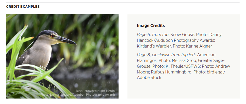 A screenshot from Audubon's style guide showing their crediting practices.
