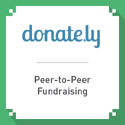 This section discusses a peer-to-peer fundraising resource for nonprofits.