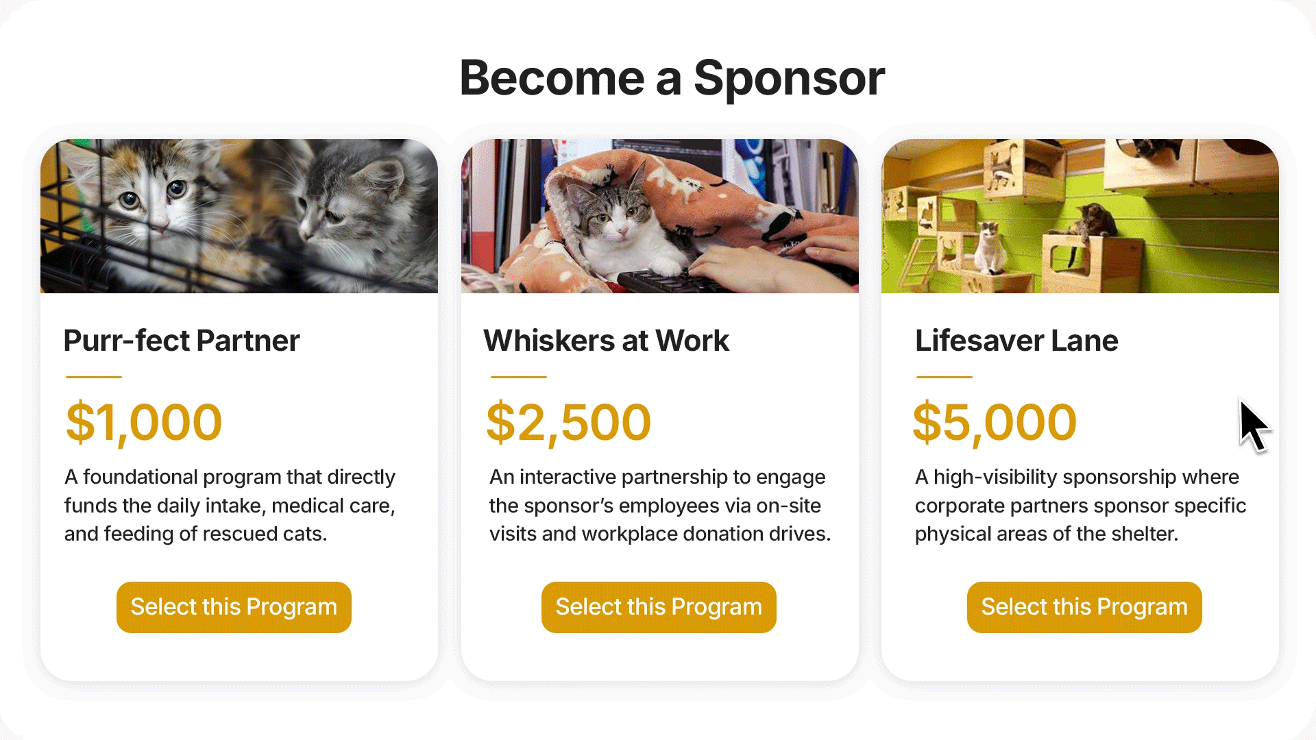 Attracting inbound sponsorship inquiries with Double the Donation's plugin