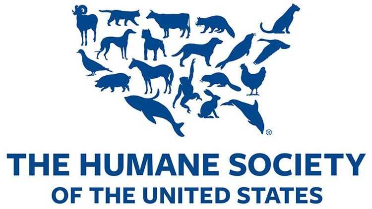 The Humane Society has an audience-centered nonprofit logo design.