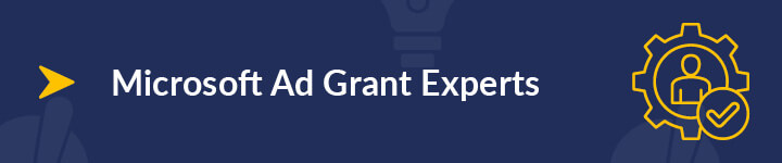 Rely on Microsoft Ad Grant experts to manage your advertising for you.