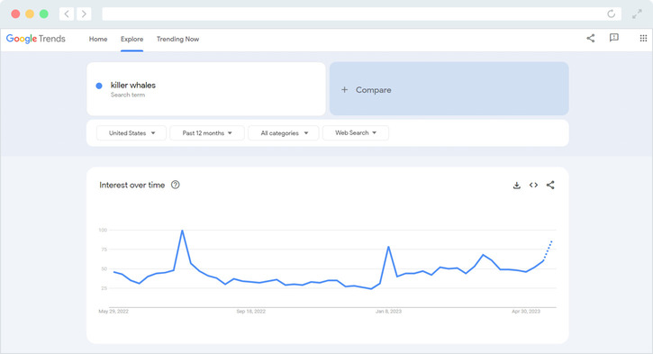 Google Trends gives you insight into trending topics to help you find the right Google Ad Grants keywords.